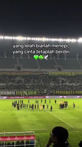 tak akoni masiho mainmu uwelek, suwon wes berusaha gawe menang jol🐊🦈💚🔥🔥#persebayasurabaya🐊💚 #persebaya #persebayaselamanya #bonekbonita #persebayavssolo 