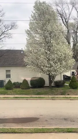 #creatorsearchinsights2025 