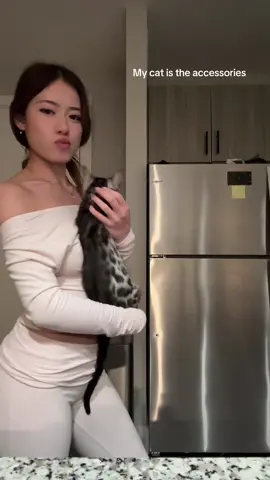 #fyp #trend #bengals #catsoftiktok 