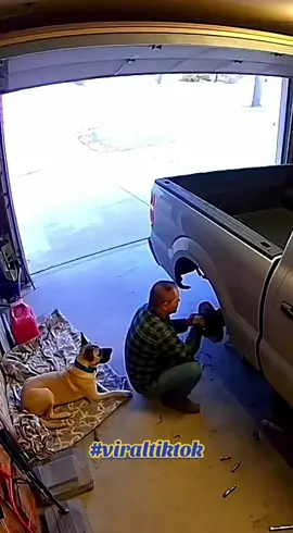 #LIVEIncentiveProgram #graciasporseguirme❤ 