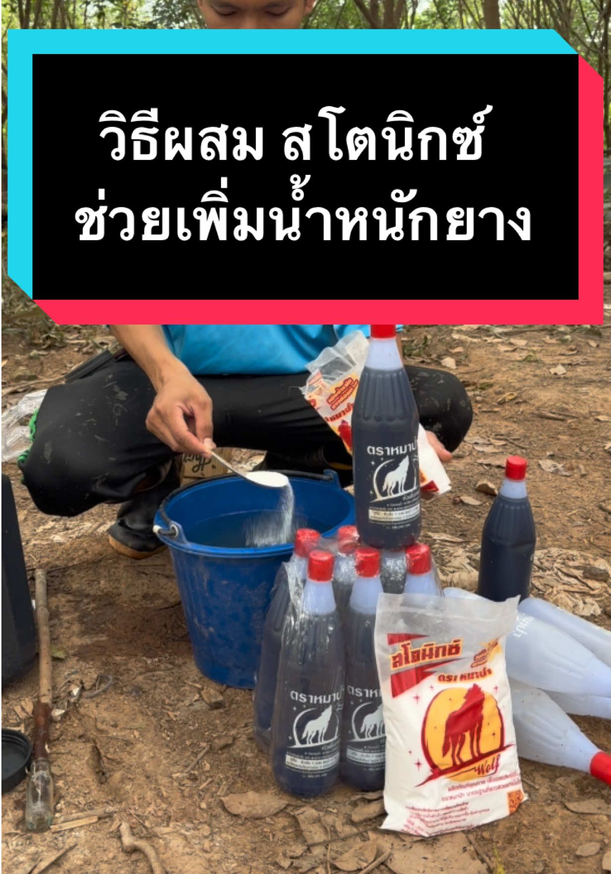 ตอบกลับ @Film&Fangkoaw วิธีผสมนะครับ#สโตนิกซ์ตราหมาป่า #สโตนิกซ์ #สโตนิกซ์เพิ่มน้ําหนักยาง #สโตนิกซ์ช่วยเพิ่มน้ําหนักยาง #CEOสวนยาง 