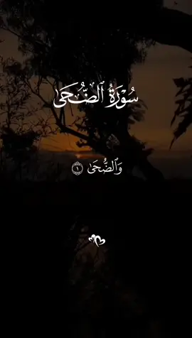 سورة الضحى #قران_كريم #ارح_سمعك_بالقران #سورة_الضحى #ماهرالمعيقلي #quran_alkarim 