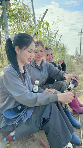 #คนไทยในใต้หวัน🇹🇭🇹🇼 #เก็บมะเขือเทศ🍅🍅 #กินเปารีต้าแต่เช้า 😁🍺🍾