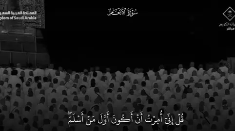فجرية ندية خاشعه اللهم بارك مُبهرة❣️. #ماهرالمعيقلي #سورة_الانعام #قران_كريم #ايات_قرانيه_تريح_القلب #مكه_المكرمه_المملكه_العربيه_السعوديه 