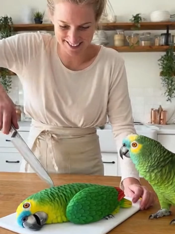 🦜 „HEY! Das ist mein Cousin!“ Wenn dein Kuchen zu echt aussieht 😂 #DerFrechePapagei #DeutschHumor #Papagei #KuchenFail #LustigDE #AIComedy #TikTokDE  Keywords: papagei lustig, tiervideo deutsch, kuchen humor, ki comedy, deutsch sketch, realistisch video