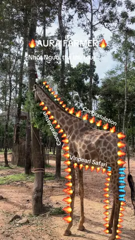 AURA FARMER - Nhốt người thả thú tour #GreenCreator #Vinwonders #Dulich #jz45uvr #aura 