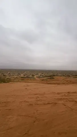 😍 #القصيم_عنيزة #الغضا 