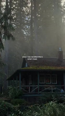 the perfect getaway - leave me here forever #pnw #pnwlife #oregon #mthood #twilight 