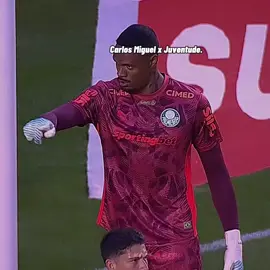 O NENÊ QUIS FAZER UM GOL DE LONGE EM CIMA DO CARLOS MIGUEL KKKK!! 💚💚 || #palmeiras #carlosmiguel #juventude #brasileirao #edit 