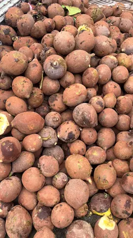 Sabar to mbok mbok🤣🤣