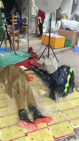 keo dán chuột không độc hại là đây 🤣🤣🤣