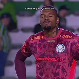 Carlos Miguel 🔥 #palmeiras #kawansep 