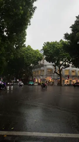 Cô đơn đến thế mưa rơi lách tách kì cục đợi ai.. #hanoi #thuhanoi #muadong2026 