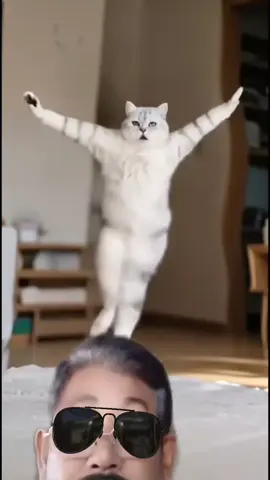 #duet with @SmileShopbyRapee5 #จ่ายแพงไปทําไม  #funny #cat 