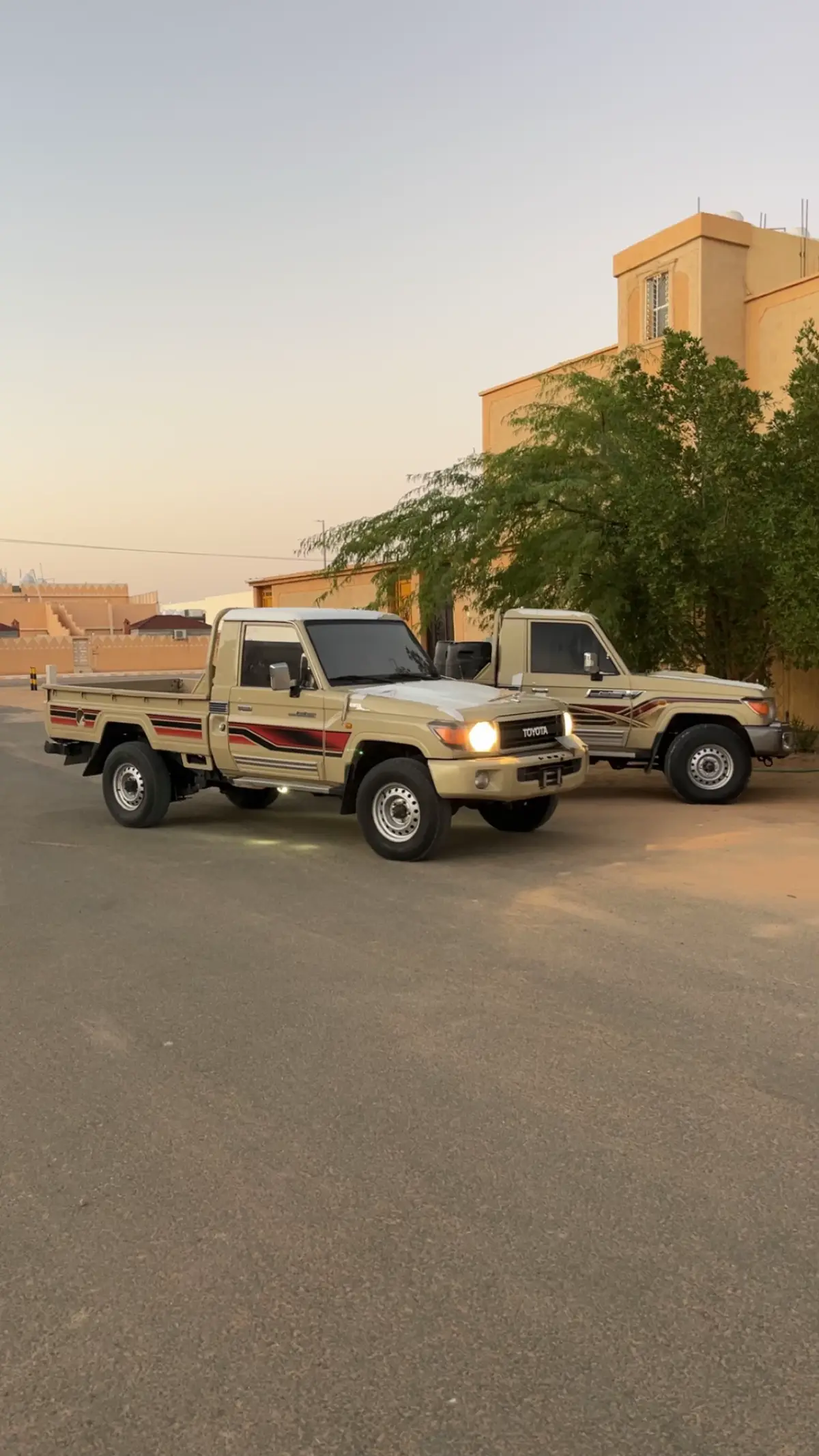 #شرورة_الوديعة_الاخاشيم_تماني #explore #اكسبلور #شاص #شروره 