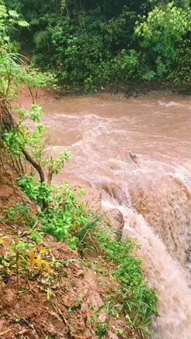 PARAÍSO DE MONTE ALTO SP CACHOEIRA ALVORADA RIO TURVO NATUREZA LINDA NESSA TARDE DE DOMINGO COM MUITA CHUVA OLHA A FORÇA DA NATUREZA CABEÇA DA ÁGUA FORTE 🌳🌳🌳🌳🏞️🏞️🏞️🏞️❤️❤️❤️❤️❤️⛈️⛈️⛈️⛈️⛈️02/11/2025