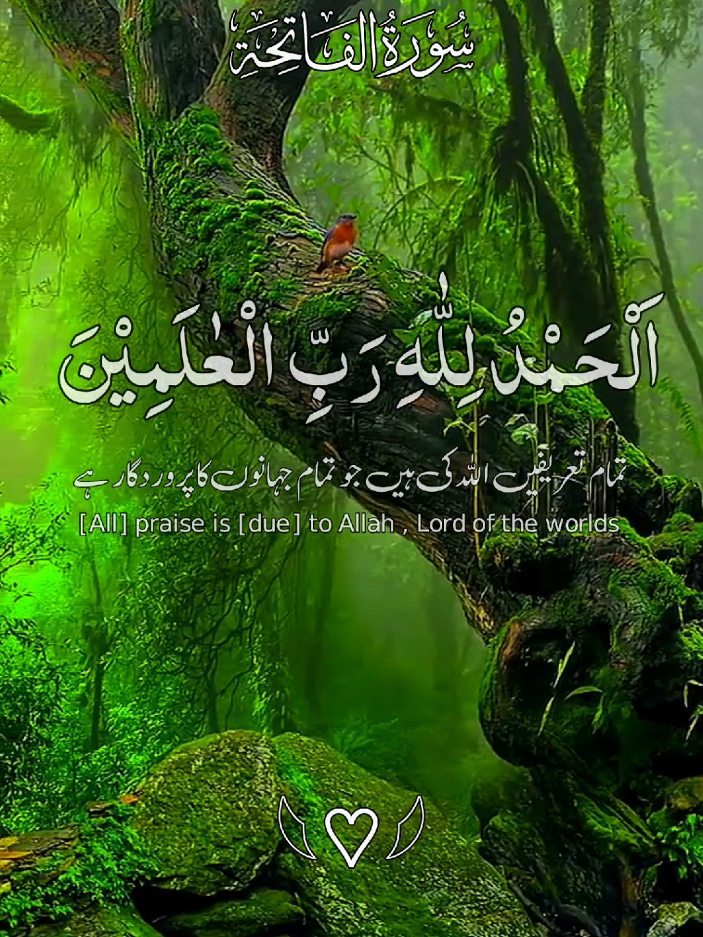 Surah Al-Fatiha — the opening chapter that heals hearts, guides souls, and reminds us that every mercy begins with the name of Allah. It’s not just a Surah, it’s a prayer that leads us back to Him #SurahAlFatiha #QuranHealing #LightOfIslam #PeaceInFaith #DivineGuidance @TikTok @tiktok creators @꧁𝗛𝗼𝗹𝘆༺ قرآن꧂ @꧁𝗛𝗼𝗹𝘆༺ قرآن꧂ @TikTok Trends 