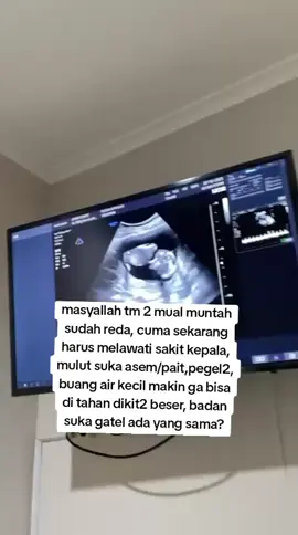 masyallah nikmatnya melalui fase tm 1, skrng harus melewati fase tm 2, smngat adeeeee harus sehat ya🥰 #14weekspregnant #hamil #pregnant 