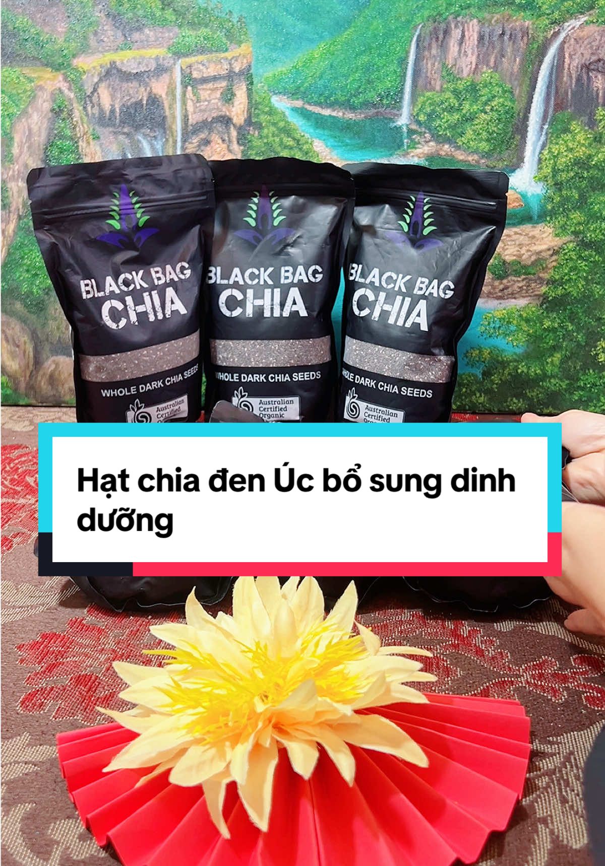 Hạt chia đen Úc bổ sung dinh dưỡng giá hời quá các bác ơi #hatchia #hatchiauc #healthyfood #thucphamhuuco #tiktokshop  @PHẠM PHƯƠNG 