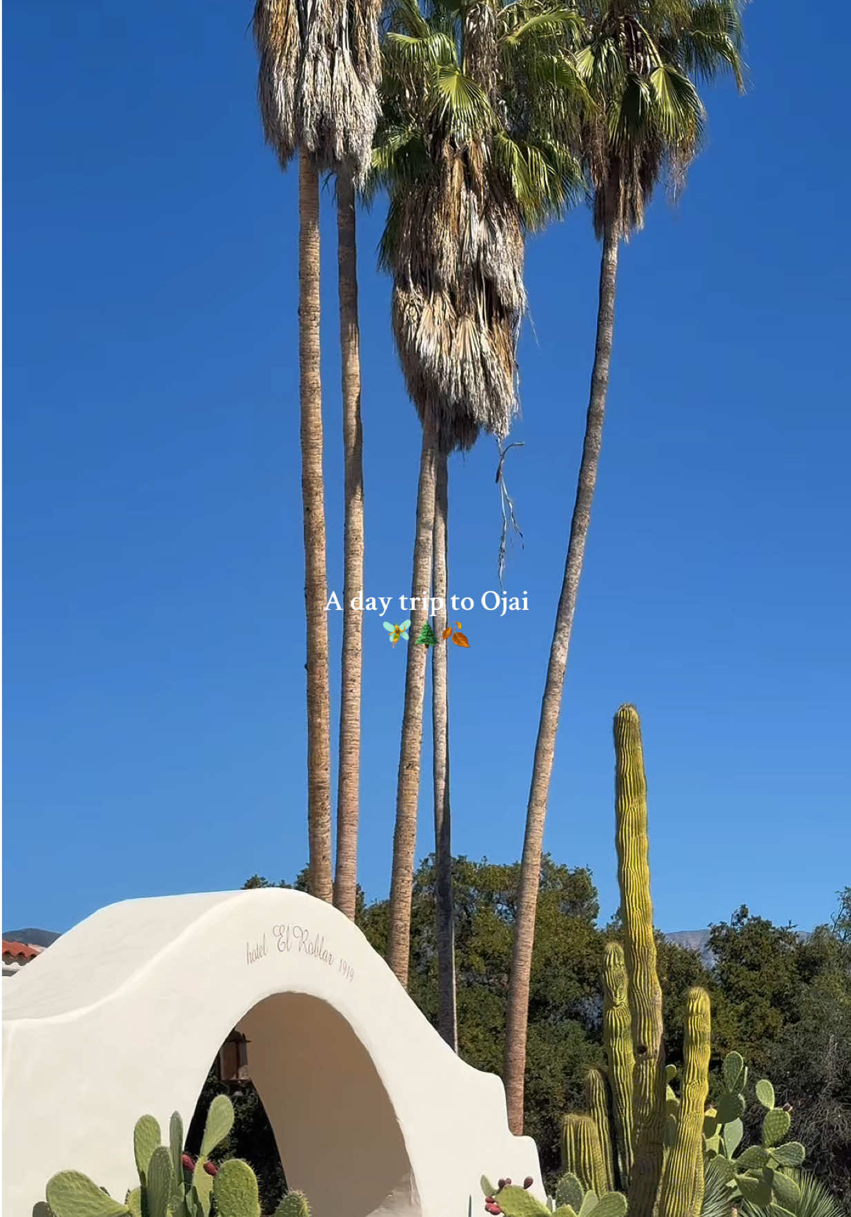 My fav day trip recently 🧚🌲🍂 #ojai #daytripsfromlosangeles #losangeleslife #fallinspo #microinfluencer 