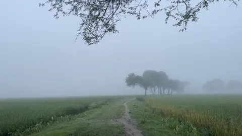 সকালের ভয়ংকর প্রকৃতি 😩🌸 #viral #fyp #natural #foryoupage 