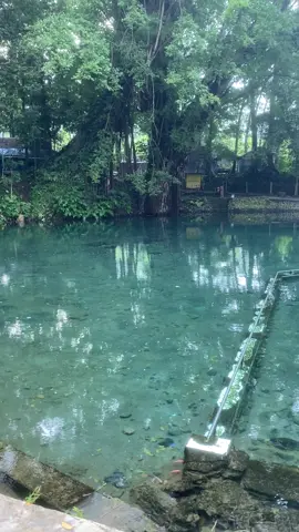 setenang itu ya#malang24jam #masukberanda 