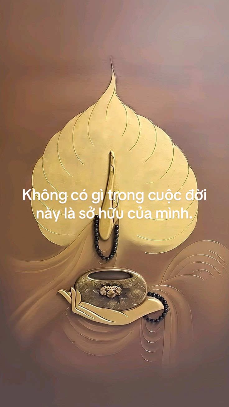 Không có gì trong cuộc đời này là sở hữu của mình. #phatphap #tutap #minhtriet 