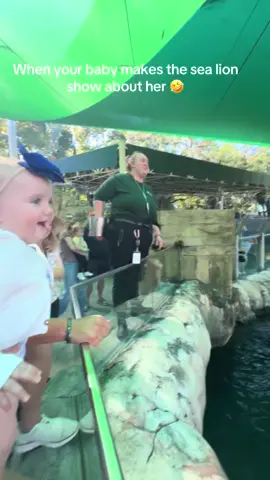 The BEST giggles!! #fyp #babygirl #zoo #laugh #funny @Audubon Nature Institute @Pink0421 - the coolest sea lion trainer 🦭