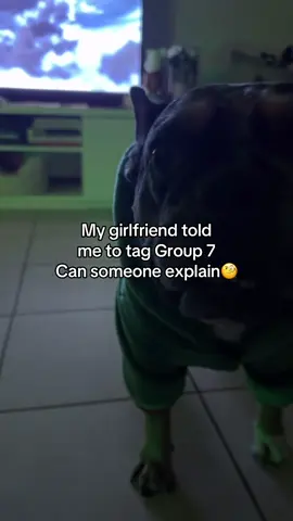I need an explanation, why is she so confident in #group7 I really want to know. Can I be a part of it?! #fyp #trending  #tiktoktrend 