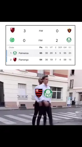 Vai ser assim até o final… #palmeiras #flamengo #brasileirao 