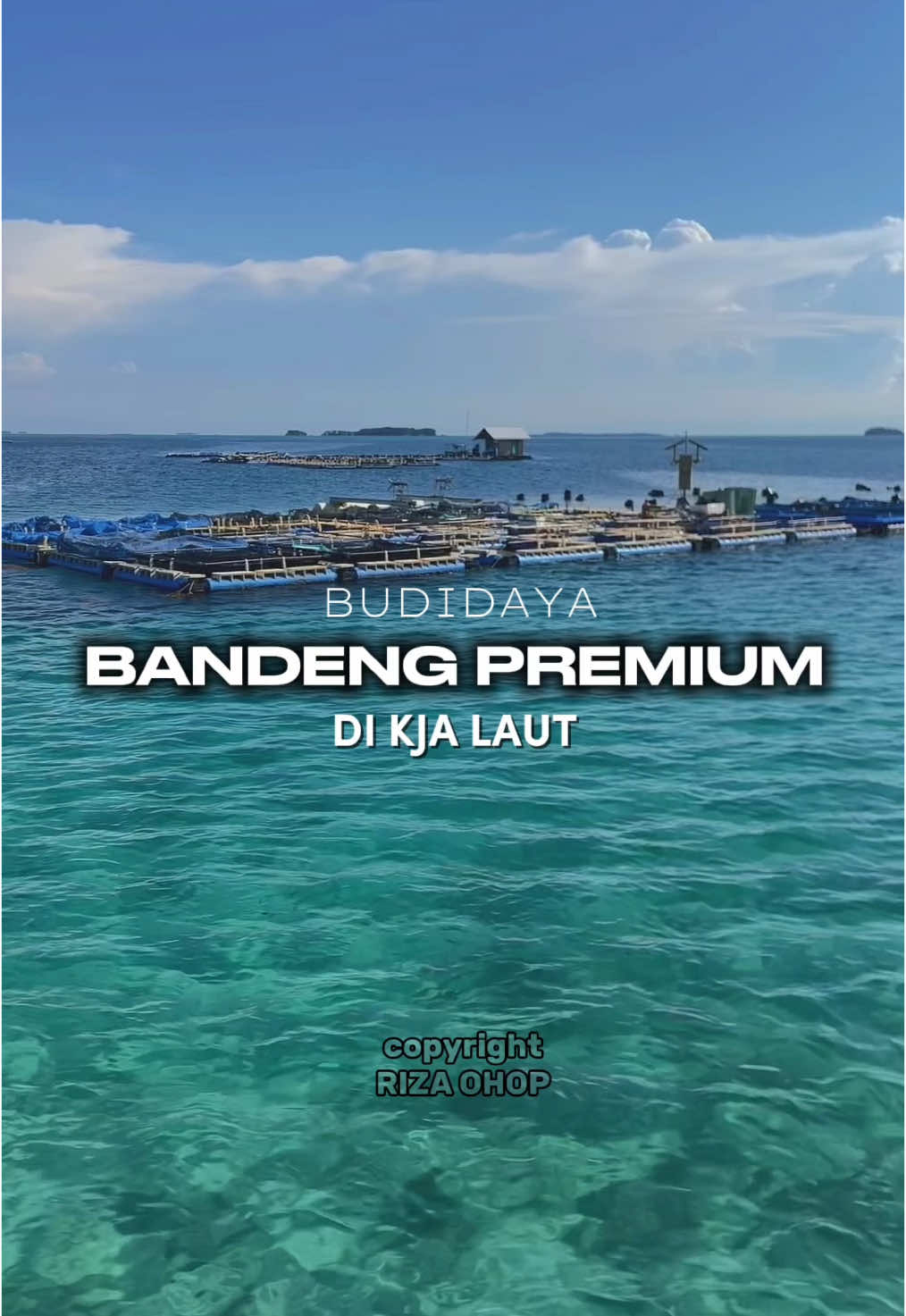Story in my life. Budidaya ikan bandeng premium laut. Dikatakan premium diantaranya karena; dibudidayakan di KJA laut dengan full pakan pellet, rasa tidak bau tanah/lumpur, daging lebih kenyal, dan non anti biotik kimia. #ikanbandeng #milkfish #panen #bandengpremium #ekspor #kjalaut #viral #fypシ゚ 