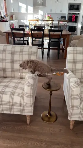 The stock is extremely low but they are seriously perfect #cottagecore #cottagecoreaesthetic #plaidchairs #armchair #accentchair #homedesign #decor 