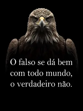 #conselhos #deus #fe #vida #verdade @Turma Do Suricato @Turma Do Suricato @Turma Do Suricato 