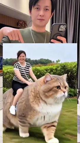 Tutorial on Making the 