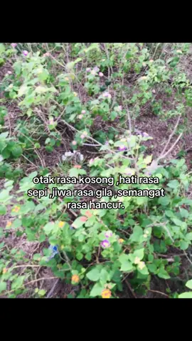 #djharisnugraha #fypシ゚ #katakata #sadvibes #masukberandafyp 