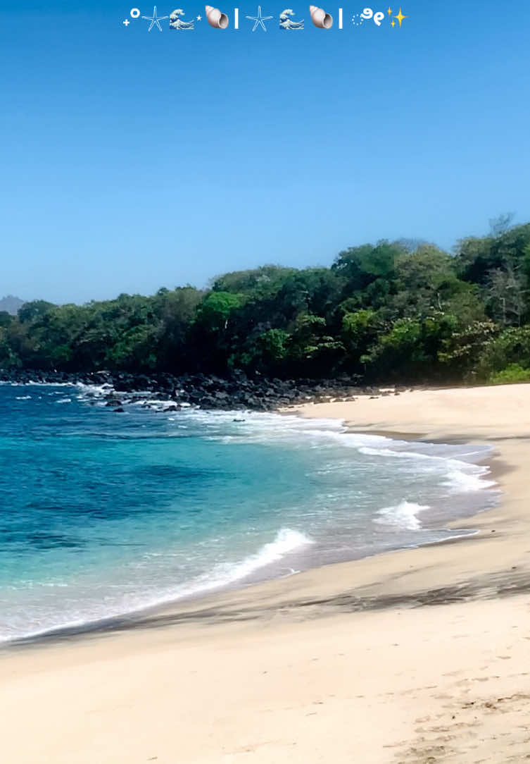 Serasa private beach 📌 #lembata #lembatamanise #lembatatiktok🍃🔥🔥 #beach #pesonalembata🌸 