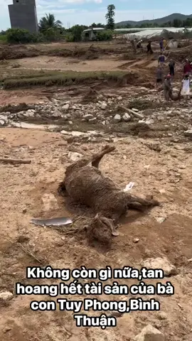 Cảnh hoang tàn sau vỡ hồ chứa ...    #thiêntai #thamhoa#lamdong 