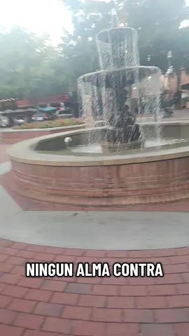 #LIVEIncentiveProgram #GoLIVEGrowFast #PaidPartnership 