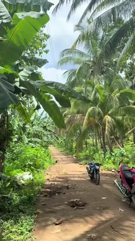 kunting linis lang pogi na ulit#smashthaiconcept #smash115 #thaiconcept #fyp #fyp 