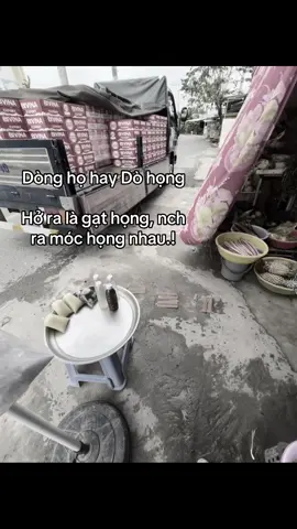 Cay kk#CapCut #xuhuongtiktokk #xuhuongtiktok2025 #xhhhhhhhhhhhhhhhhhhhhhhh #RangRoVietNam 