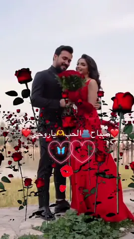 ❤️❤️❤️❤️❤️❤️❤️❤️🫂🫂🫂🫶🫶#❤️❤️❤️❤️❤️❤️❤️ #عباراتكم_الفخمه📿📌 #نبض_قلبي #👏🏻👏🏻🎼🎻💃 #tiktok  