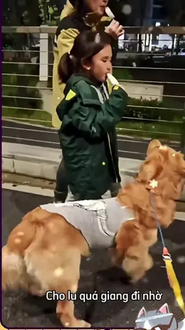 Đẹp choai không bằng chai mặt 