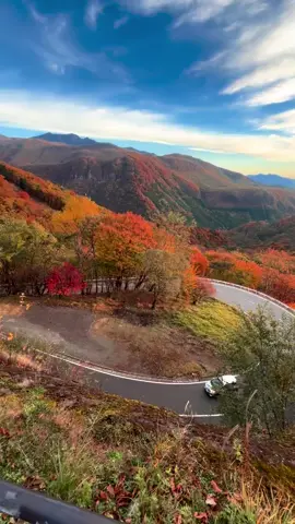 Chưa đi Nikko là chưa biết mùa Thu Nhật Bản đẹp như thế nào …. #nikko #nhatban #muathu 