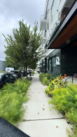 This song is how i feel about todays sunday reset 