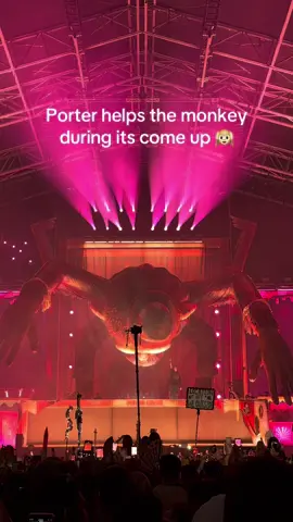 Porter told the monkey it's gonna be ok ig ☠️ @Porter Robinson #escapehalloween #porterrobinson #ravetok #rave #escape 