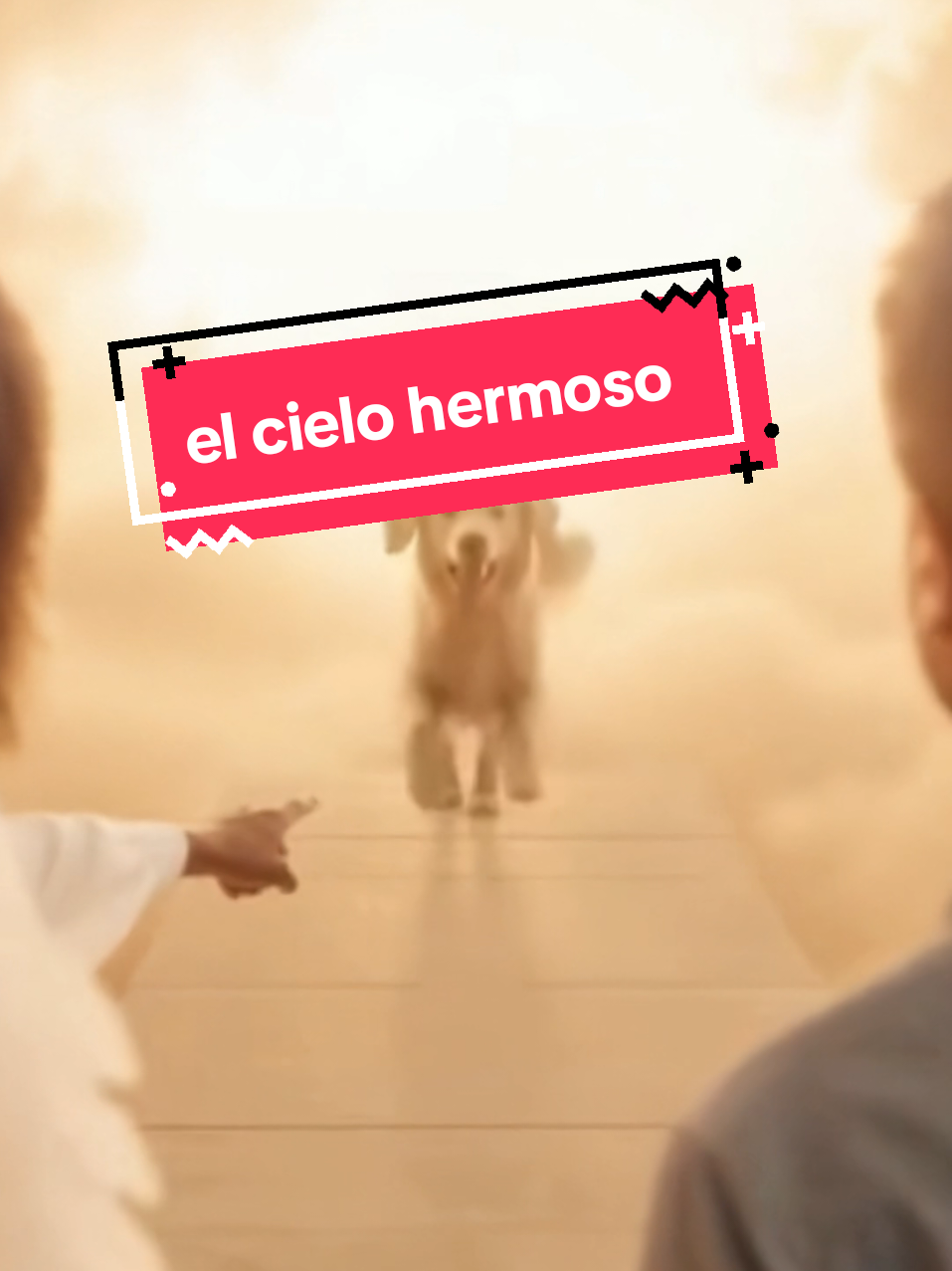 Y tú como crees que es el cielo? #biblia #angeles #diosesamor #graciasadios #jesucristo 