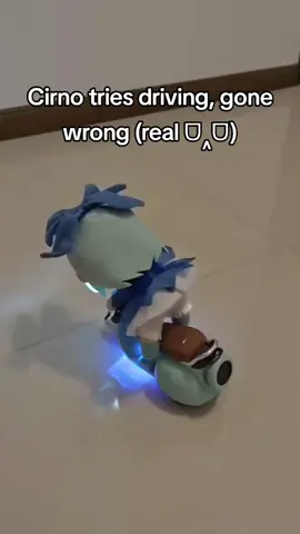 Credits: Britzznyech on reddit #touhou #touhouproject #touhoufumo #cirno #cirnofumo 