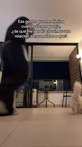 Alguien me explica JAAJAJA  #fyp #foryou #parati #fypシ 