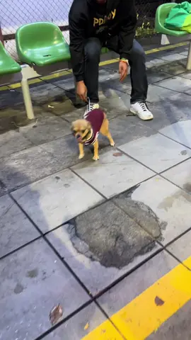 สำหรับเช้านี้ ผมมีอะไรจะเล่าให้พี่ๆฟังครับ  ถ้าพูดไม่รู้เรื่องก็ขออภัยพี่ๆด้วยนะครับ 🙏🏻🐶🥹 ไว้จะมาอัพเดทนะครับ 💞❤️