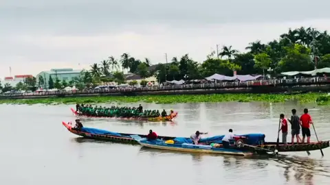 Năm Nay Sẽ Ra sao đây  Đay Tà Suos #duaghengosoctrang 